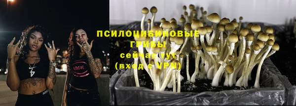 ALPHA PVP Зерноград