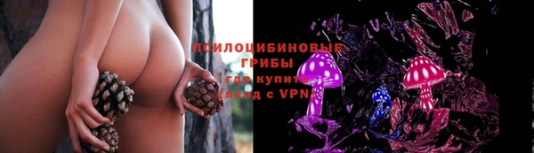 круглые Заводоуковск