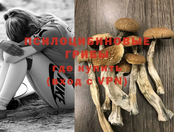 ALPHA PVP Зерноград